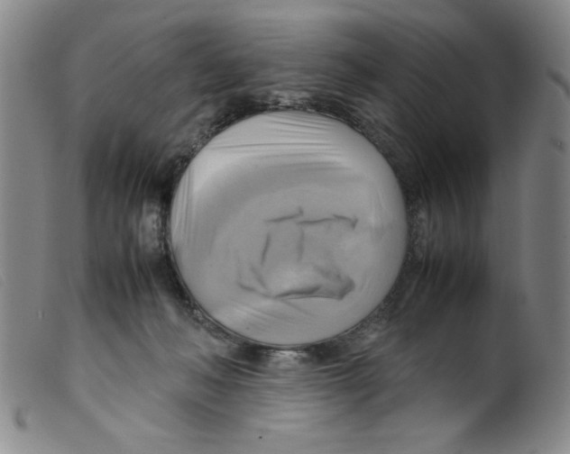 X0000098190222200805221525