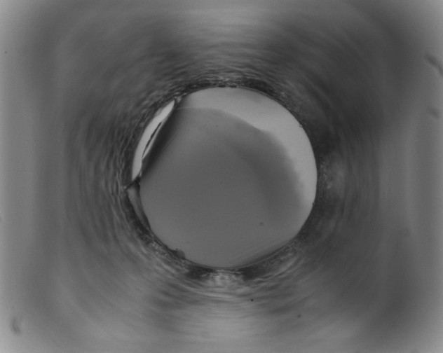 X0000098190223200805221525