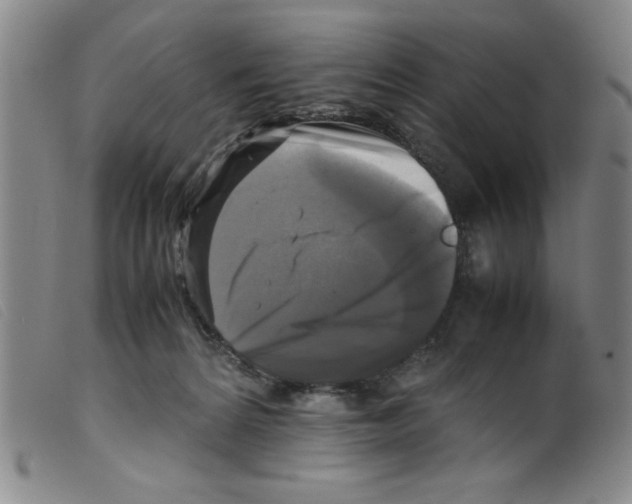 X0000098190224200805221525
