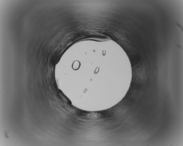 X0000098190225200805221525