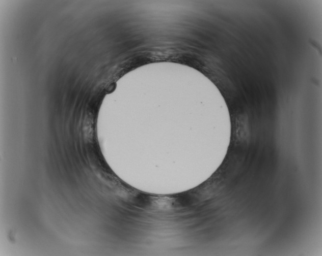X0000098190226200805221525