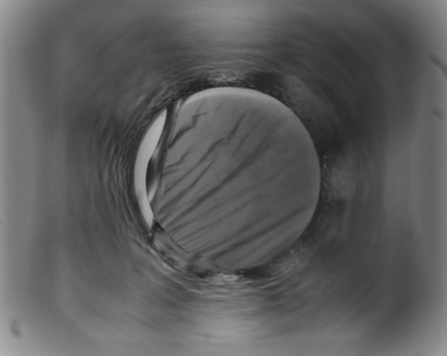 X0000098190227200805221525