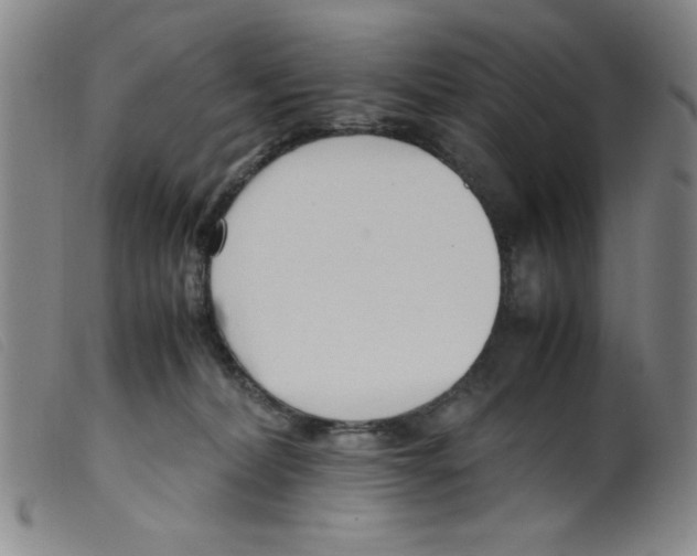 X0000098190228200805221525