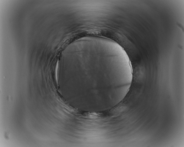 X0000098190229200805221525