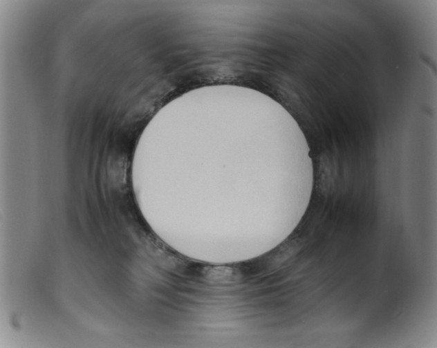 X0000098190230200805221525