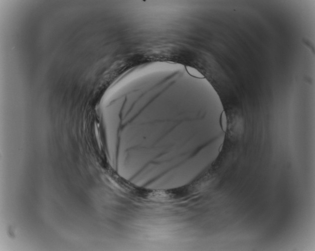 X0000098190231200805221525