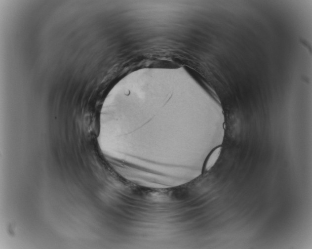 X0000098190232200805221525