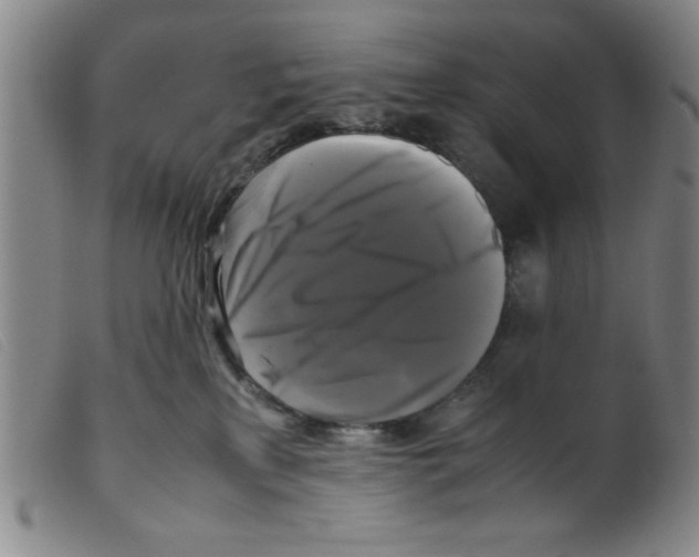 X0000098190233200805221525
