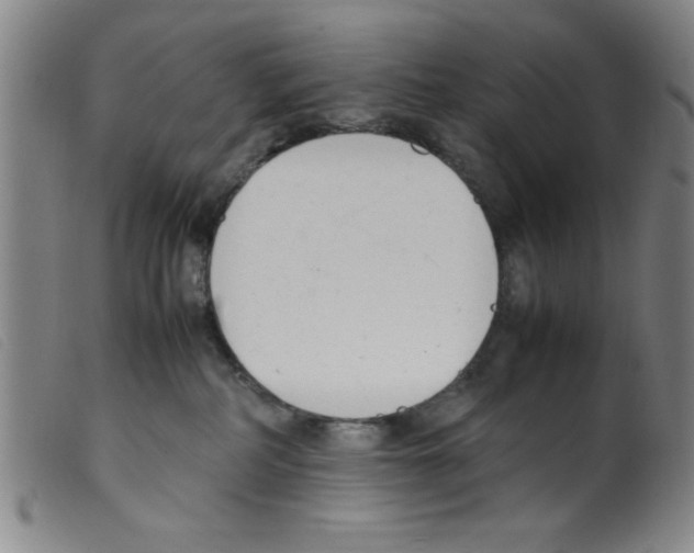 X0000098190234200805221525