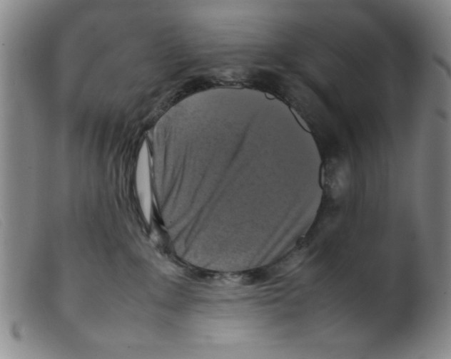 X0000098190235200805221525