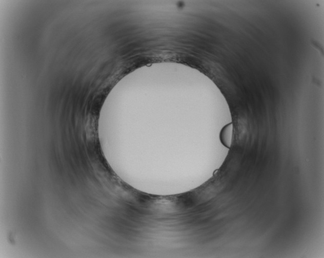 X0000098190236200805221525