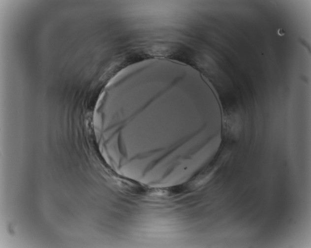 X0000098190237200805221525