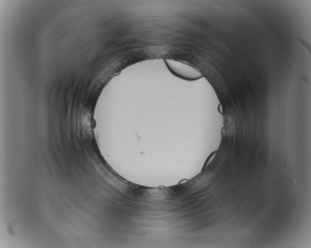 X0000098190238200805221525
