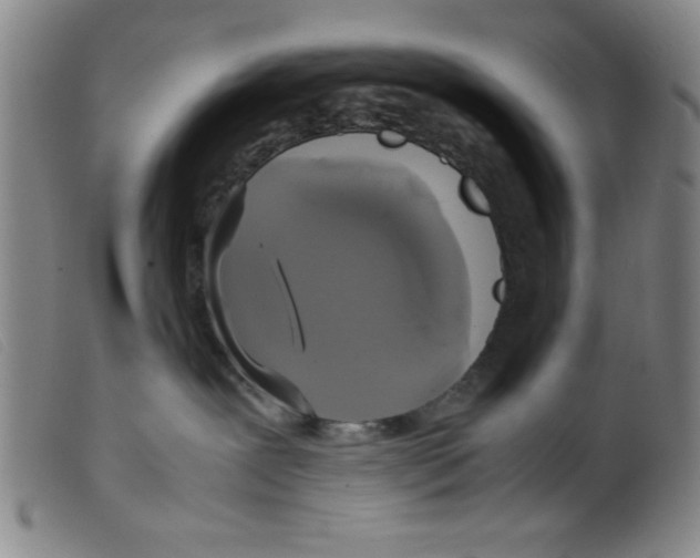 X0000098190239200805221525
