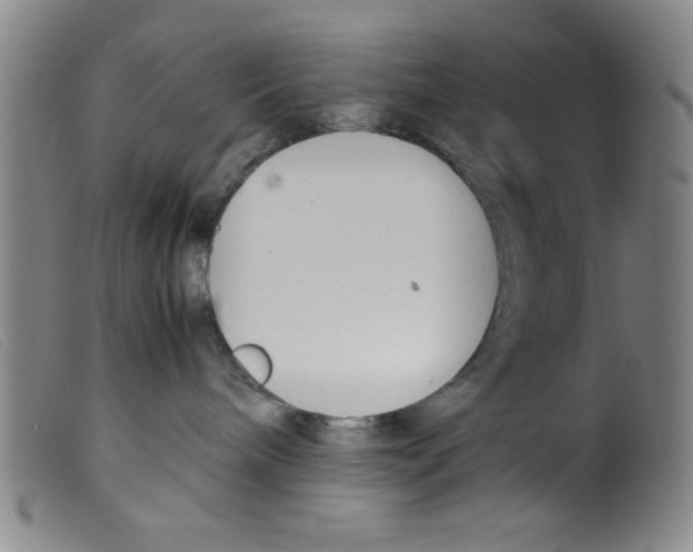 X0000098190240200805221525