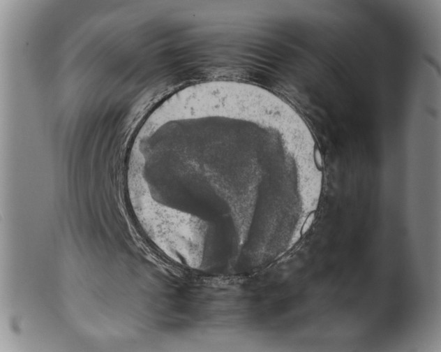 X0000098190241200805221524