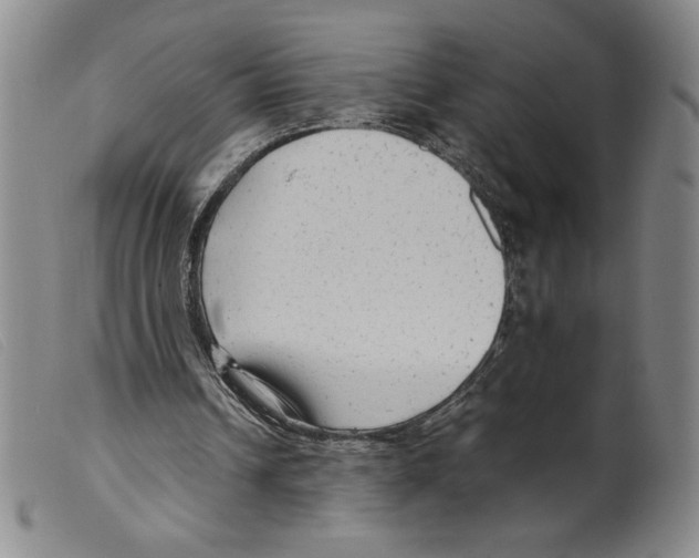 X0000098190242200805221524