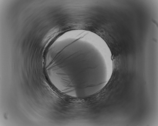 X0000098190243200805221524