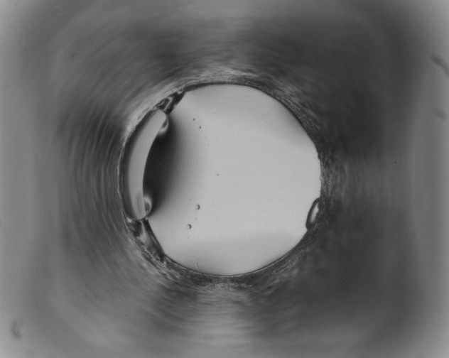 X0000098190244200805221524