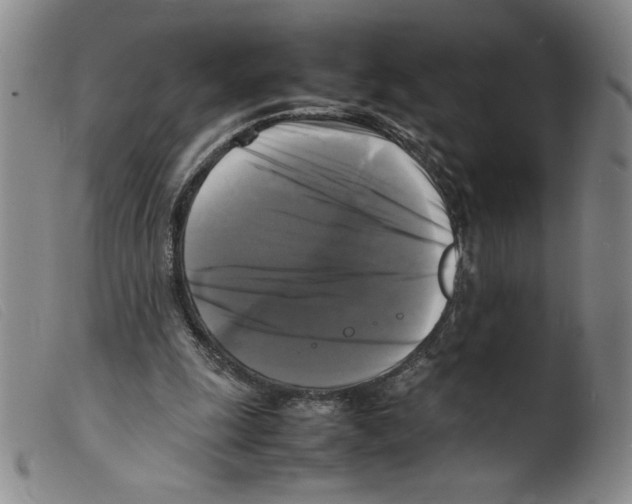 X0000098190247200805221524