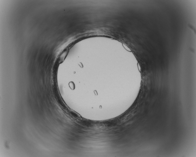 X0000098190248200805221524