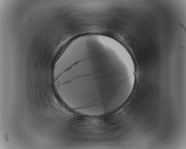 X0000098190249200805221524