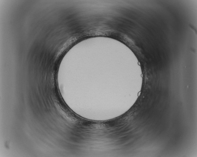 X0000098190250200805221524