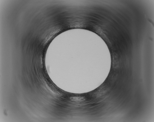 X0000098190251200805221524