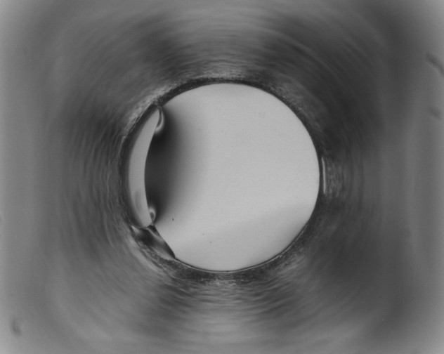 X0000098190252200805221524