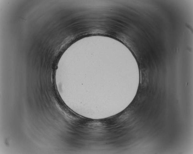 X0000098190253200805221524