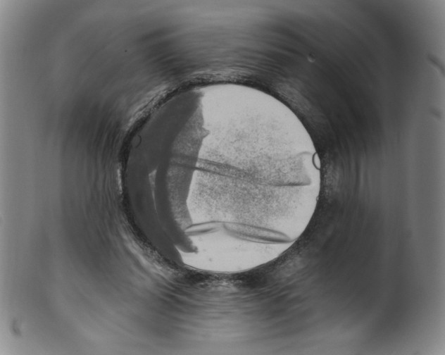 X0000098190254200805221524