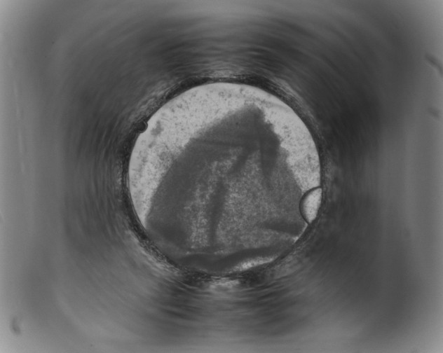 X0000098190257200805221524