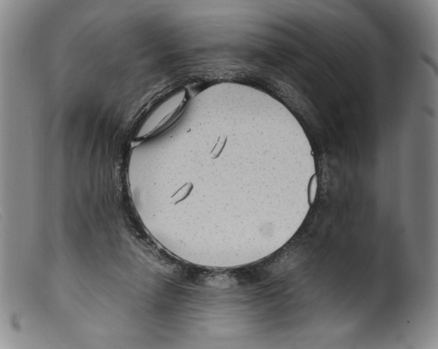 X0000098190258200805221525
