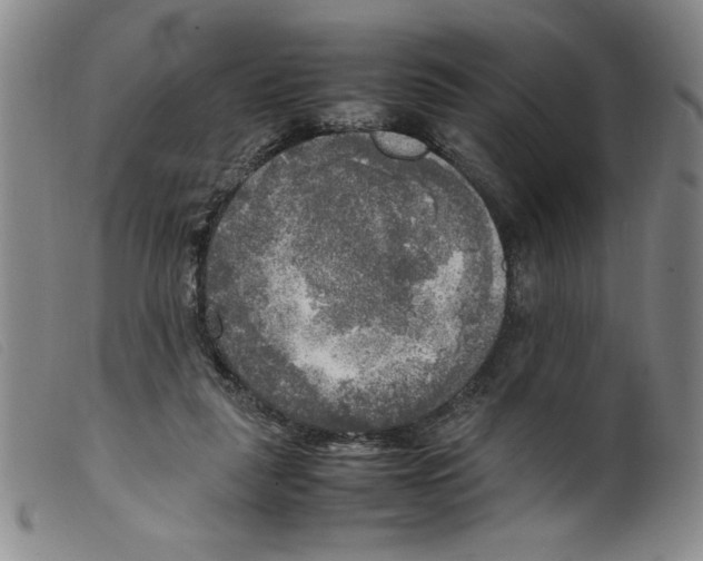 X0000098190259200805221525