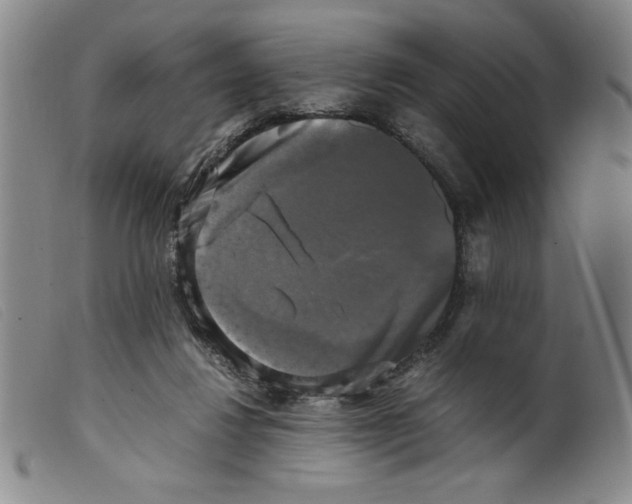 X0000098190260200805221525