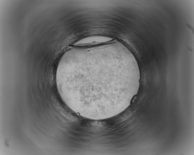 X0000098190261200805221525