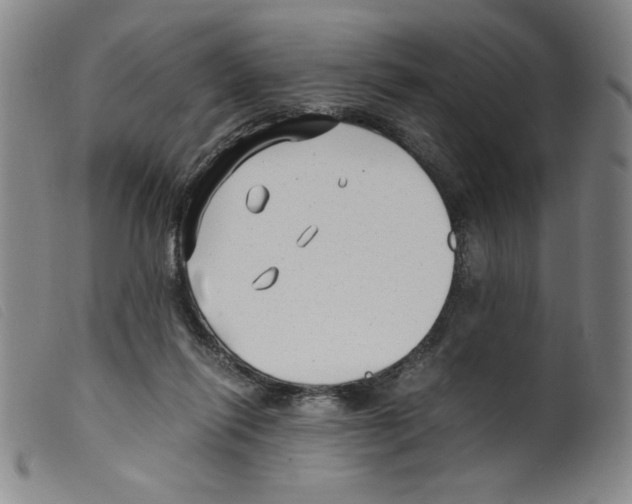 X0000098190262200805221525