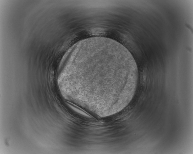 X0000098190263200805221525