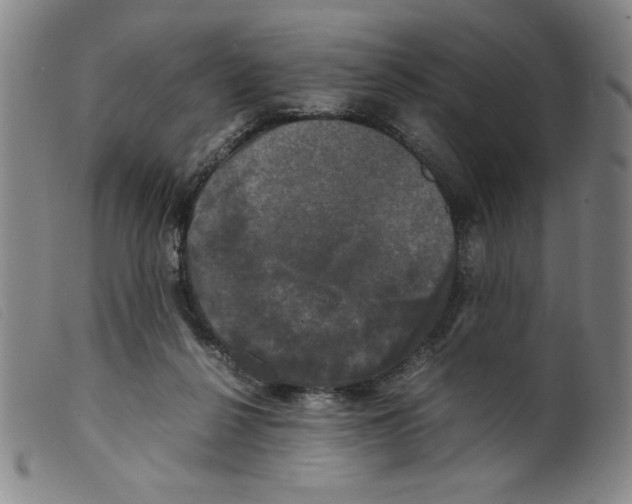 X0000098190264200805221525