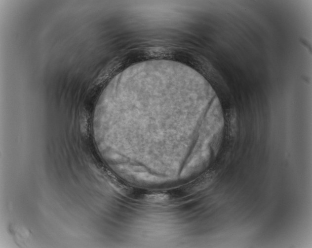 X0000098190266200805221525