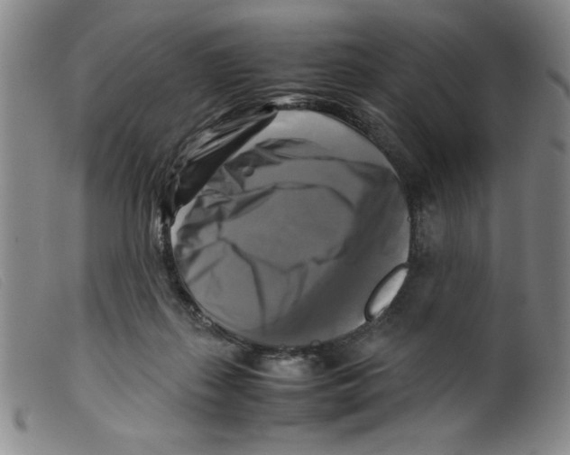 X0000098190267200805221525