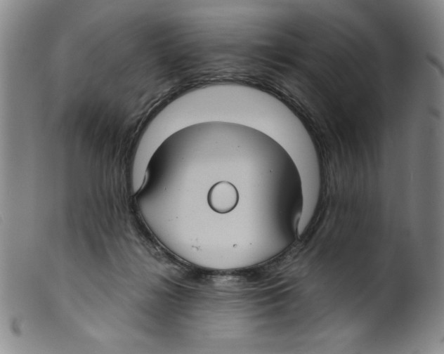 X0000098190268200805221525