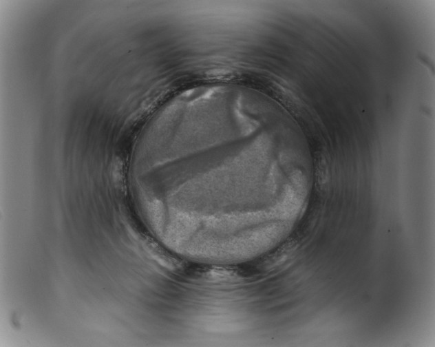 X0000098190270200805221525