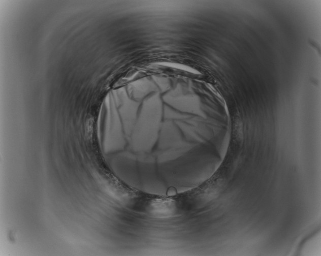 X0000098190271200805221525
