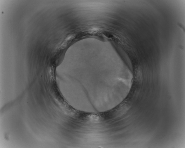 X0000098190272200805221525