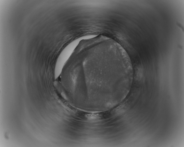 X0000098190273200805221525