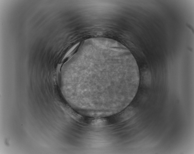 X0000098190274200805221525