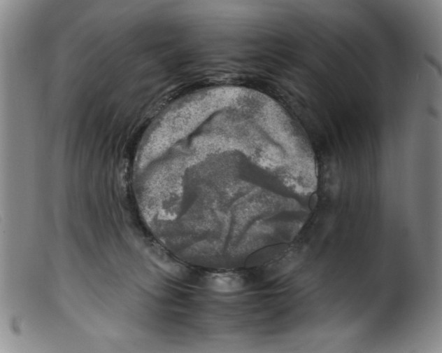 X0000098190275200805221525