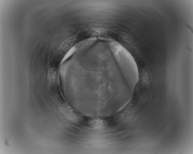 X0000098190276200805221525
