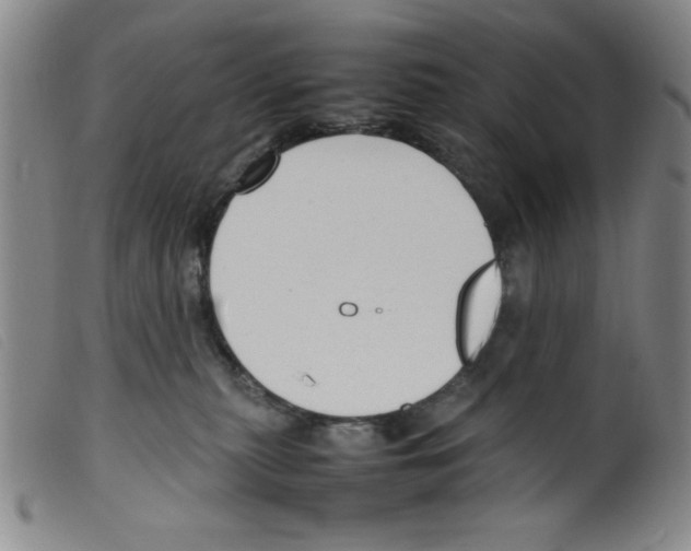 X0000098190279200805221525